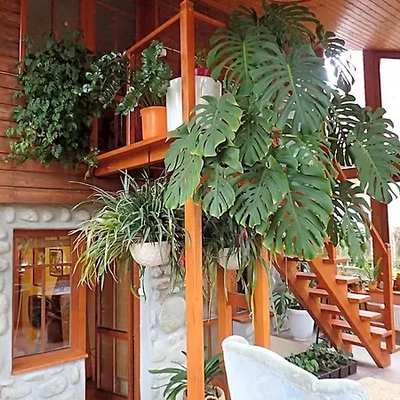 Family House - Zuzana