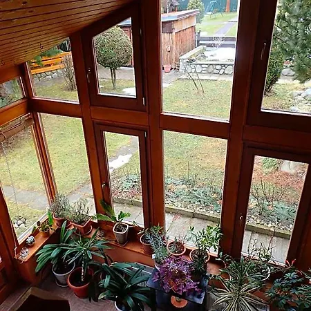 Family House - Zuzana Kežmarok