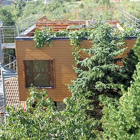 Family House - Zuzana Otel *