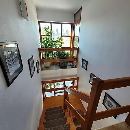 Family House - Zuzana